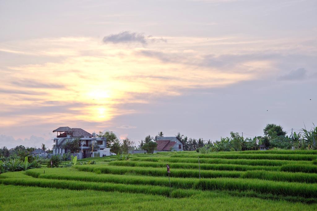 Paddy View Villa Kuta Lombok Exterior foto