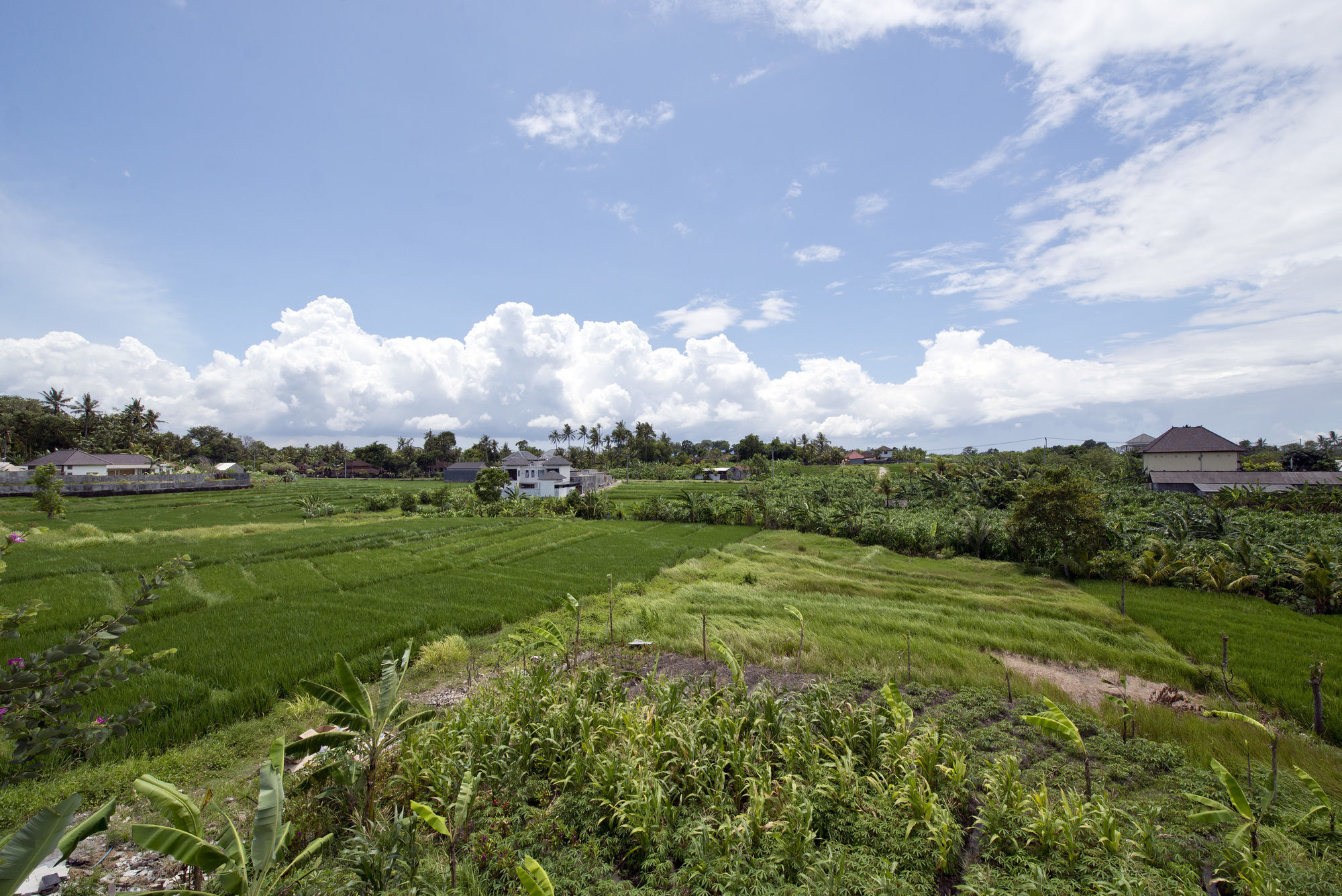 Paddy View Villa Kuta Lombok Exterior foto